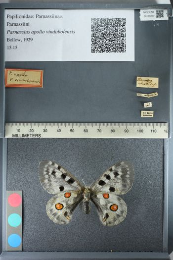 Media type: image;   Entomology 175239